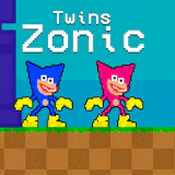 Twins Zonic