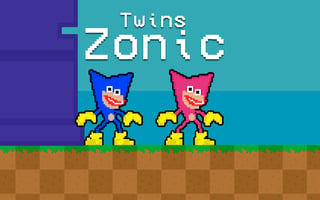 Twins Zonic game cover