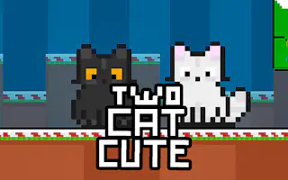 Dois Gatos Fofos