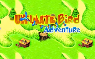 Ultimate Birds Adventure game cover