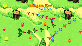 Ultimate Birds Adventure