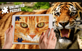 Unlimited Puzzles game cover