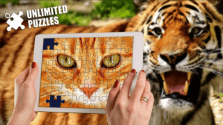Unlimited Puzzles