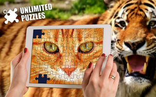 Unlimited Puzzles game cover