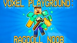 Voxel Playground - Ragdoll Noob