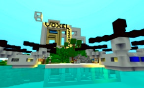 Voxel University