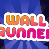 Wall Runner - The Original