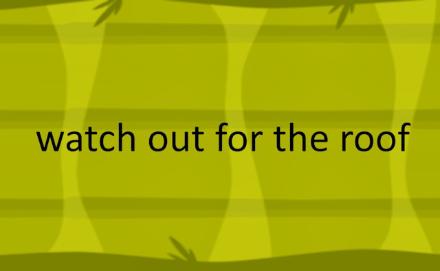 Watch Out For The Roof
