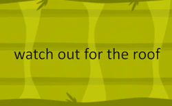 watch out for the roof