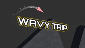 Image for Wavy Trip