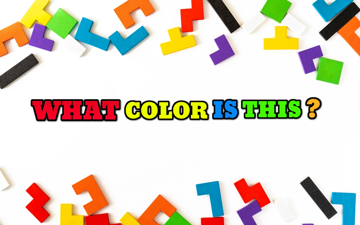 Play What Color Is This — free online Coloring game