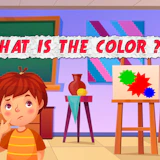 What is the Color?