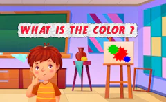 What is the Color?