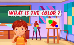 What is the Color?
