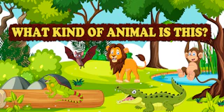 What Kind of Animal is This thumbnail