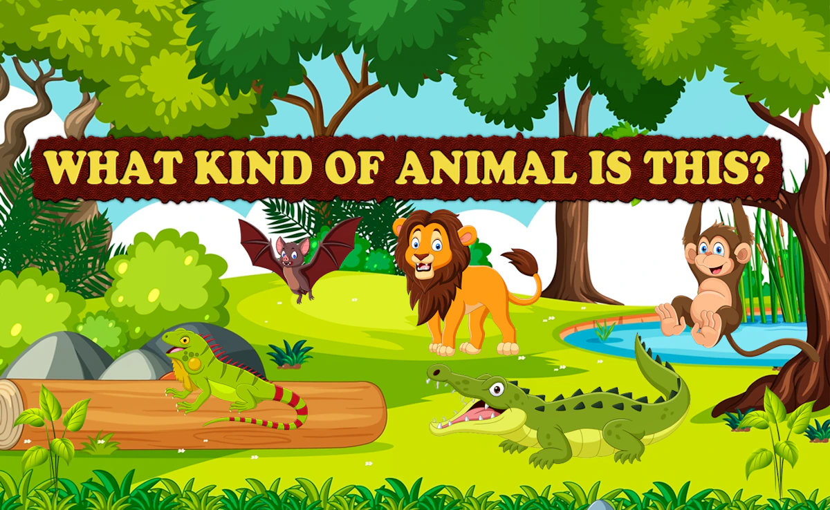 Play What Kind of Animal is This — free online Kids game