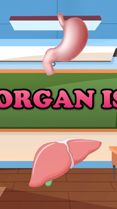 What Organ Is This?