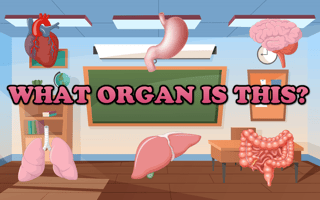 What Organ Is This? game cover