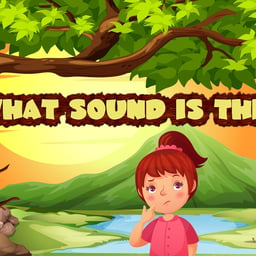 Juega gratis a What sound is this?
