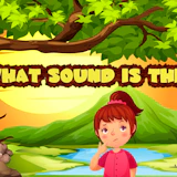 What sound is this?