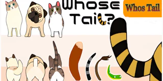 Whose Tail thumbnail