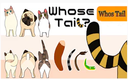 Whose Tail