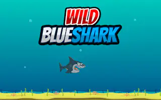 Wild Blueshark