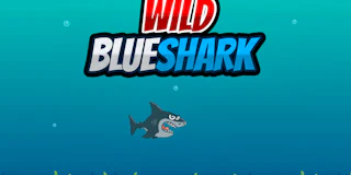 Wild Blueshark thumbnail
