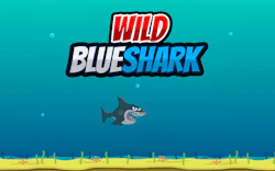 Wild Blueshark