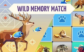 Wild Memory Match game cover