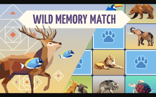 Wild Memory Match game cover