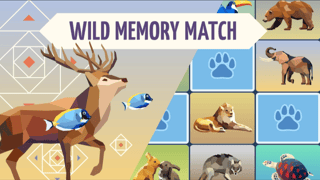 Wild Memory Match