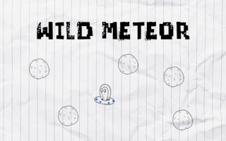 Wild Meteor game cover