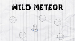 Wild Meteor