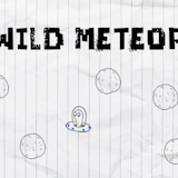 Wild Meteor