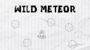 Image for Wild Meteor