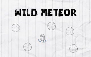 Wild Meteor game cover