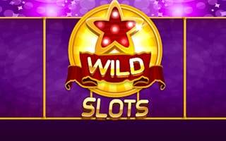 Wild Slot game cover