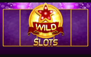 Wild Slot game cover