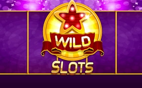 Wild Slot