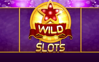 Wild Slot game cover