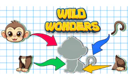 Wild Wonders