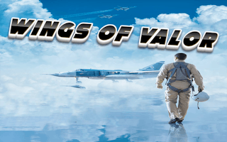 Wings Of Valor game cover