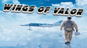 Image for Wings of Valor