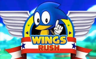 Wings Rush game cover