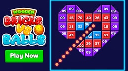 Wooden Bricks Vs Balls