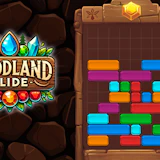 Woodland Slide