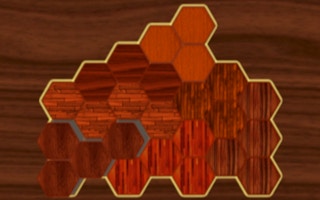 Woody Block Hexa Puzzle Game game cover