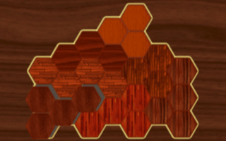 Woody Block Hexa Puzzle Game game cover