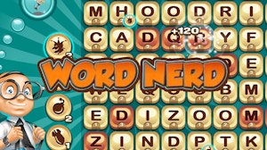 Image for Word Nerd